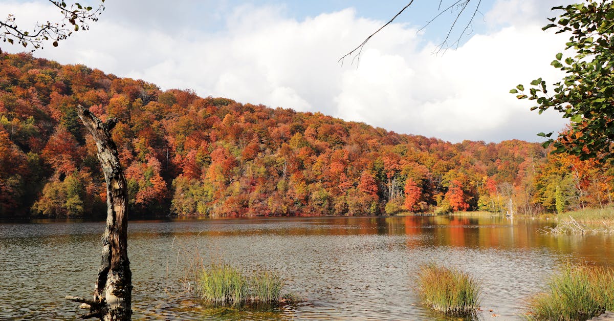 découvrez comment un écosystème digital intégré peut transformer votre entreprise grâce à l'innovation technologique et à la connectivité.