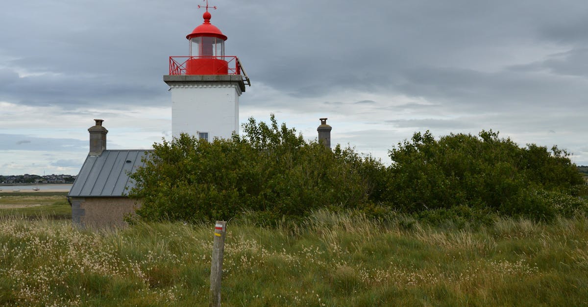 découvrez l'aide entrepreneuriale en france : accompagnement, financements et ressources pour lancer et développer votre entreprise avec succès.
