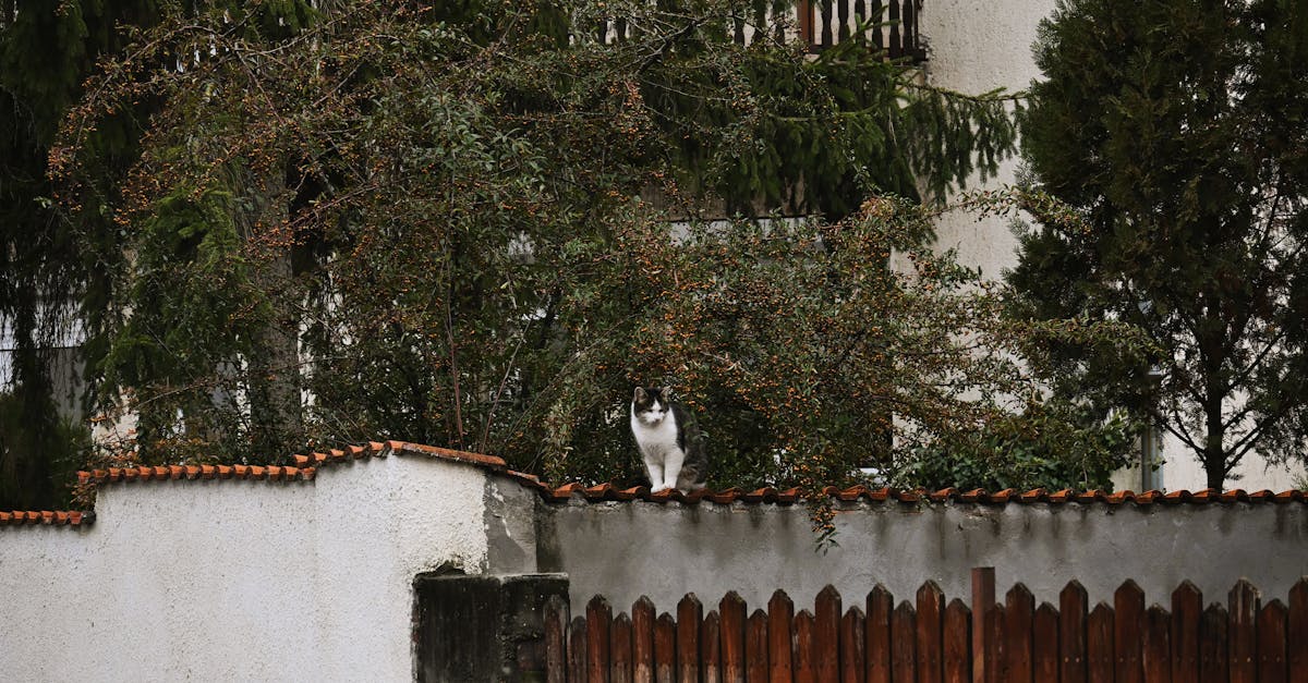 découvrez le url masking, une technique pour masquer l'adresse réelle d'un site web afin d'améliorer la confidentialité et l'expérience utilisateur.