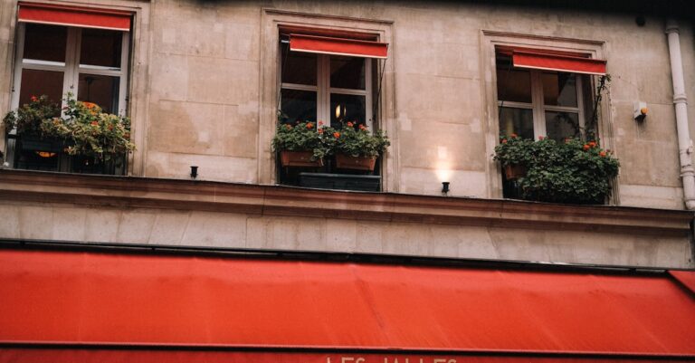 découvrez notre restaurant français authentique, offrant une cuisine traditionnelle raffinée dans une ambiance chaleureuse et conviviale.