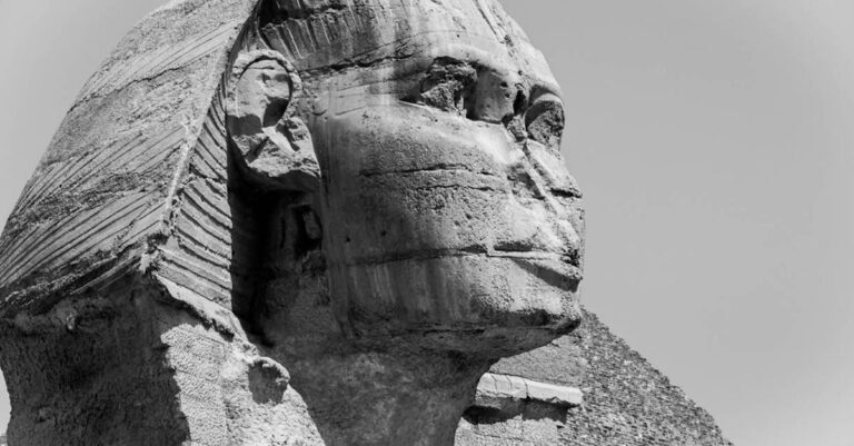 découvrez l'univers de triumph, une marque emblématique de motos alliant performance, style et innovation pour une expérience de conduite exceptionnelle.