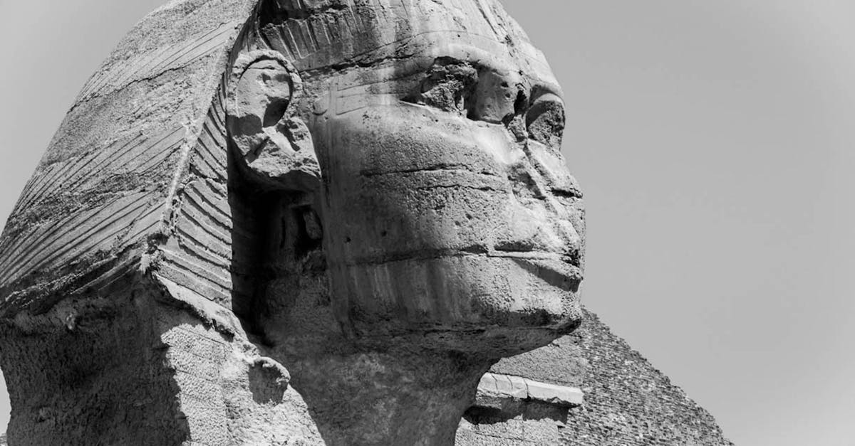 découvrez l'univers de triumph, une marque emblématique de motos alliant performance, style et innovation pour une expérience de conduite exceptionnelle.