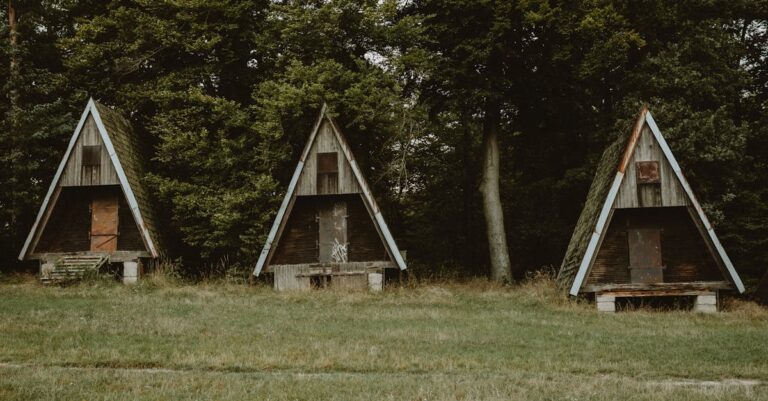 découvrez l'histoire fascinante des belleville triplets, un trio unique qui captive par leur talent et leur complicité exceptionnelle.