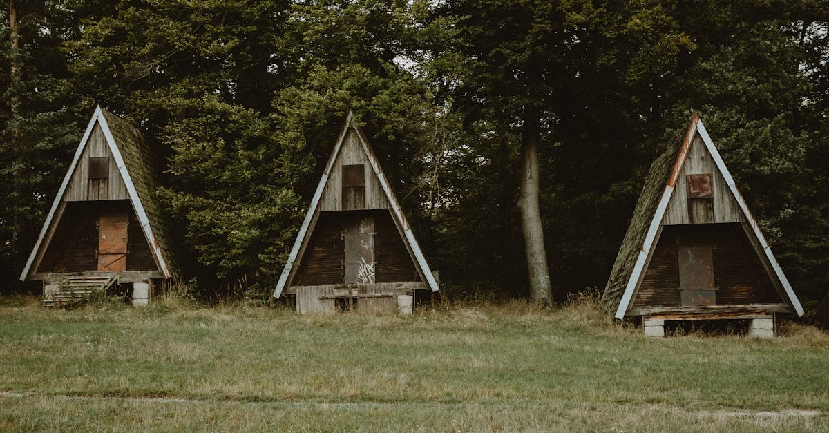 découvrez l'histoire fascinante des belleville triplets, un trio unique qui captive par leur talent et leur complicité exceptionnelle.