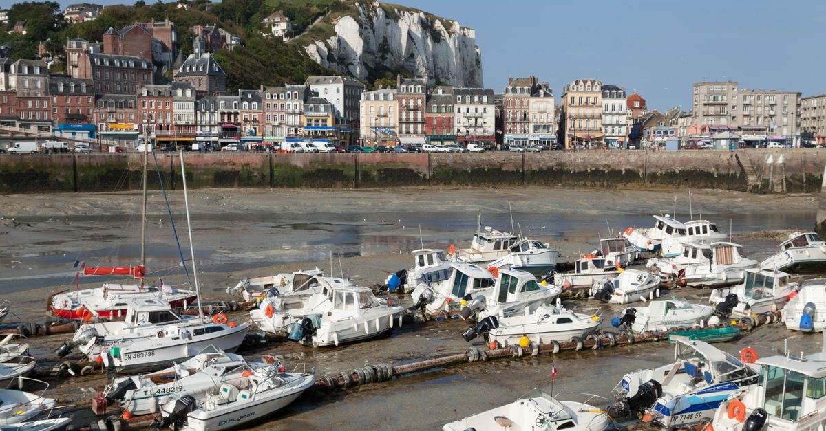 découvrez la gastronomie normande, ses saveurs authentiques et ses spécialités culinaires riches en tradition et en goût.