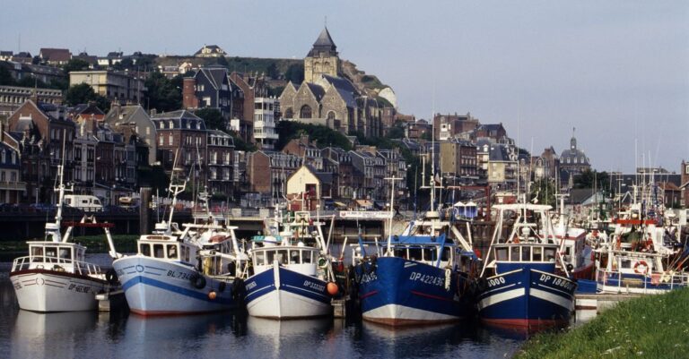 découvrez la gastronomie de normandie, ses saveurs authentiques et ses spécialités culinaires riches, du camembert aux fruits de mer frais.
