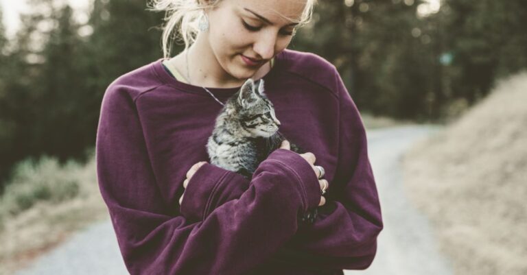 découvrez des conseils essentiels pour prendre soin de votre chat et assurer son bien-être au quotidien.