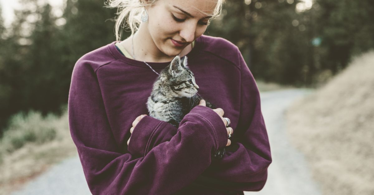 découvrez des conseils essentiels pour prendre soin de votre chat et assurer son bien-être au quotidien.